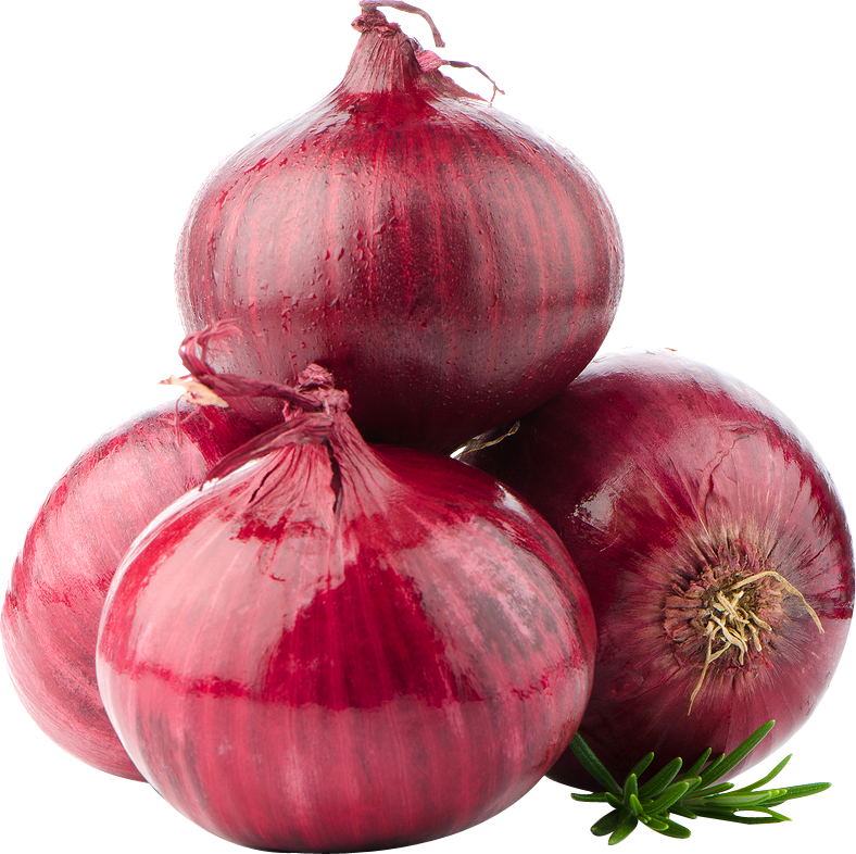 خرید عمده پیاز