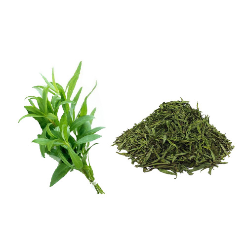 خرید عمده ترخون خشک