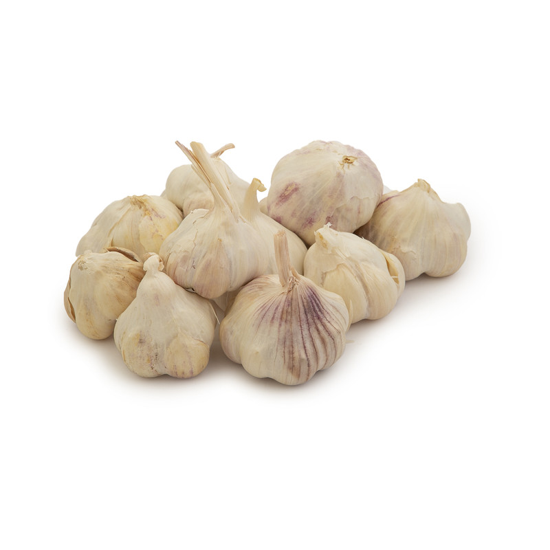 خرید عمده سیر خشک حبه