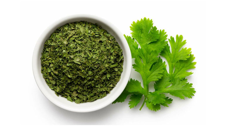 خرید عمده گشنیز خشک